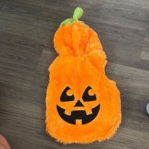 Orange Pumpkin dog Costume